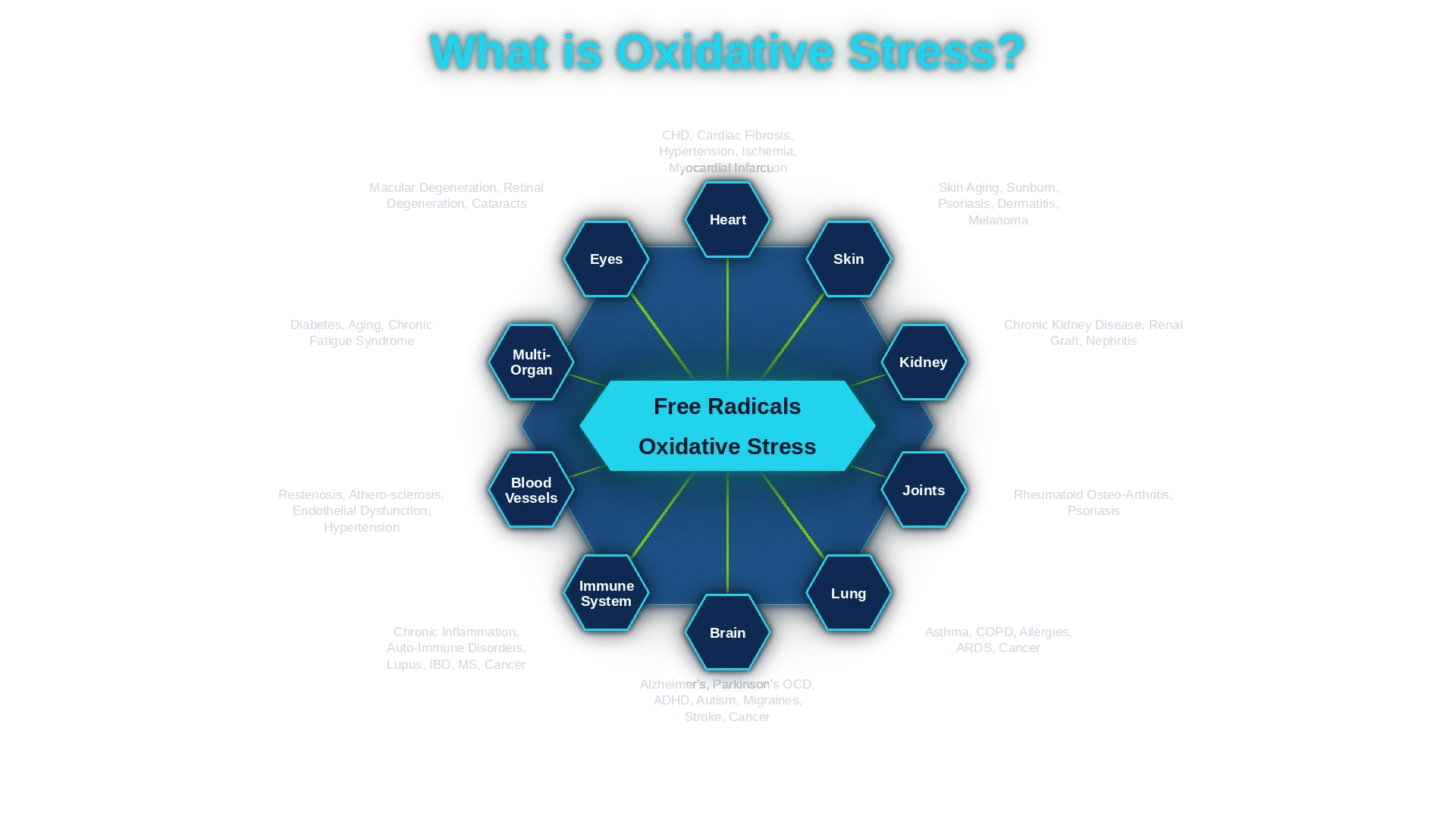 Oxidative stress wheel: research topics studied in connection with oxidative stress