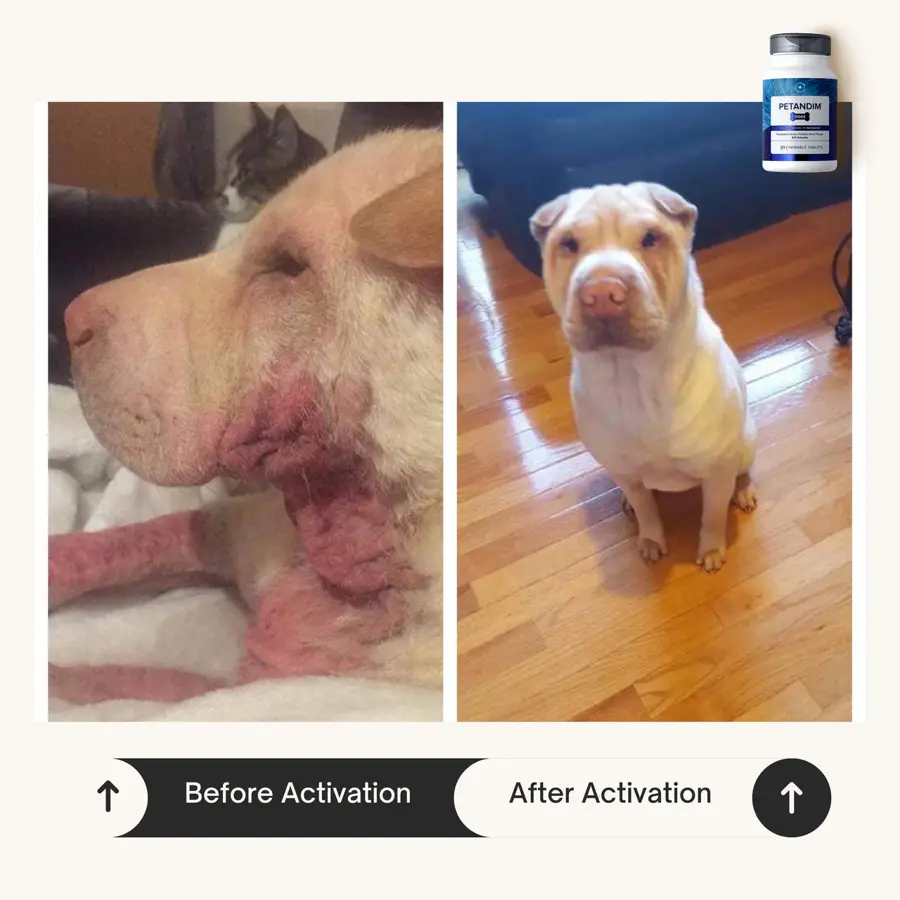 Customer before and after photo
