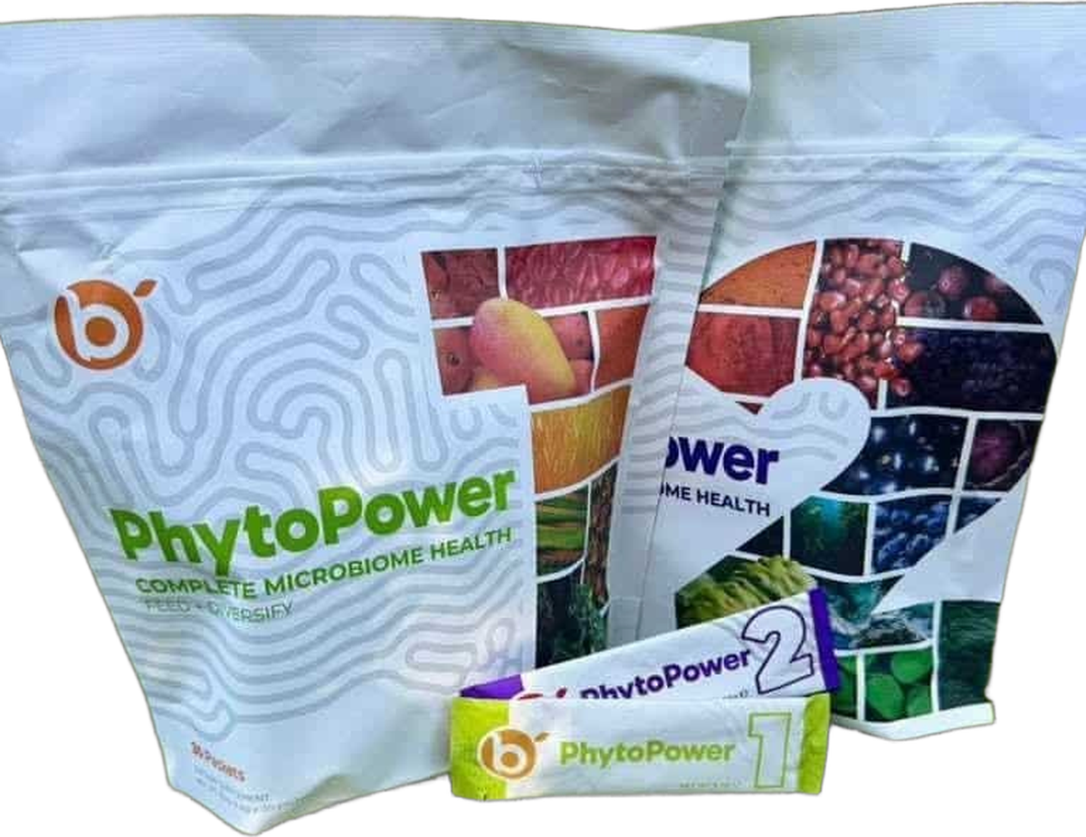 P84 (PhytoPower 1 and PhytoPower 2)